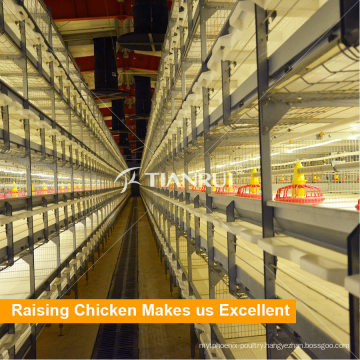 Qingdao Tianrui Automatic H Type Meat Broiler Chicken Cage for Sale